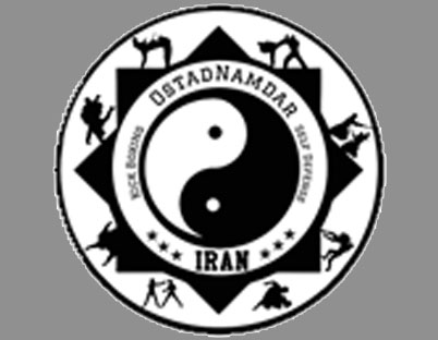 استاد محمد رضا نامدار