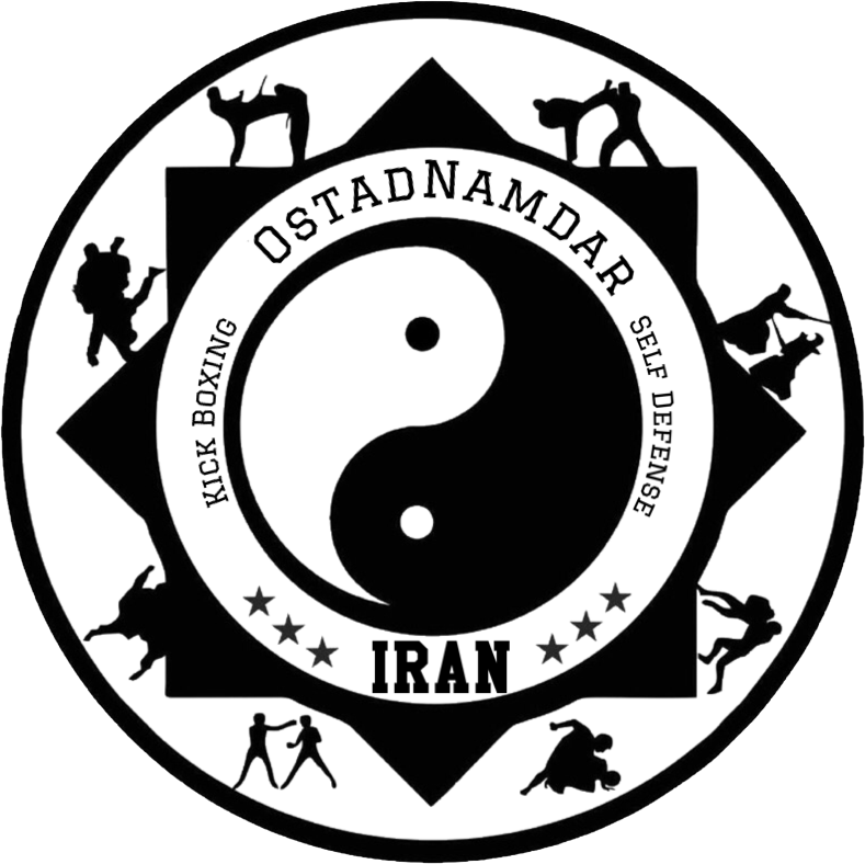 استاد محمد رضا نامدار